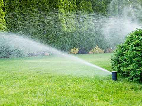 Irrigation and lawn care system design, installation and maintenance