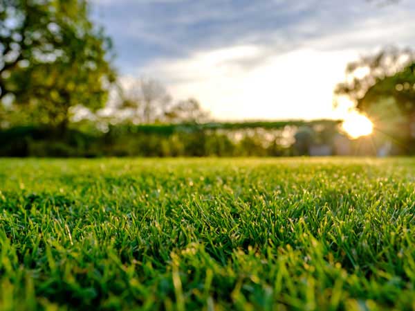 Irrigation and aeration services from Turf Unlimited Inc.