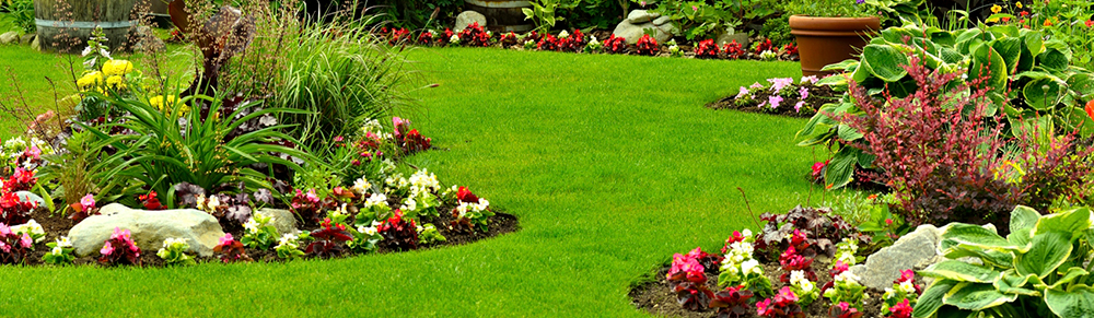 Lawn care services with organic fertilization to enhance your landscaping elements.