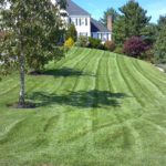 Lawn care services for a vibrant radiating yard. Organic fertilization available.