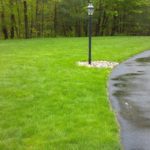 Lawn fertilization and aeration will bring out the best in your lawn