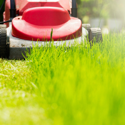 fall lawn care mow your lawn