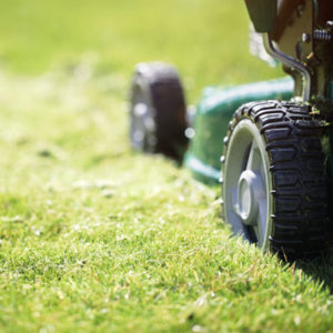 mowing lawn, Massachusetts