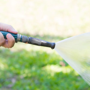 water lawn maintenance with hose