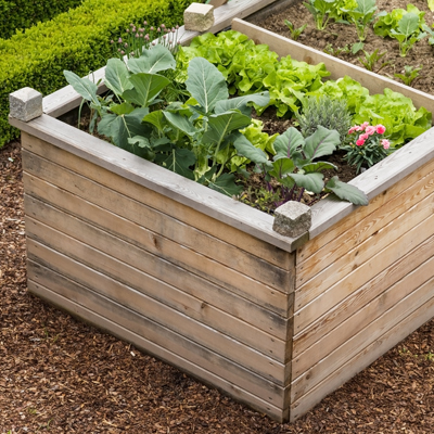  raised garden bed, gardening