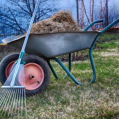 Dethatching your lawn will give it a healthy start this spring in Andover, MA