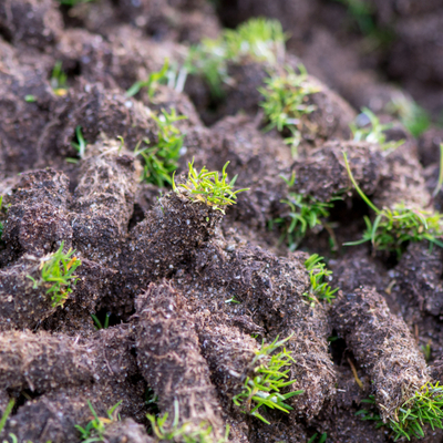 Lawn aeration, or core aeration, pulls plugs of compacted soil out of your lawn and imporves the health and nutrient flow of your turf.