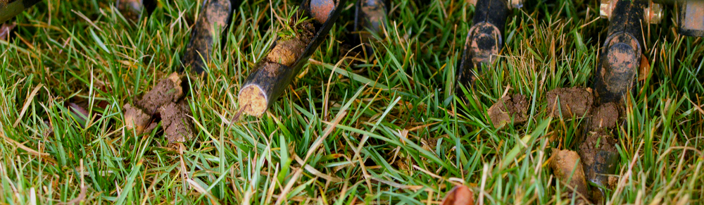 Lawn plug aeration is the key to a healthy vibrant yard