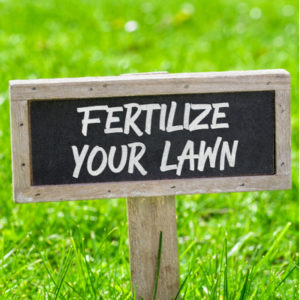 All of the best lawn care goals for the new year start with fertilizing your Massachusetts lawn on a regular basis.