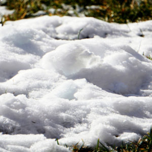 A great method of snow mold control is to prevent snow from piling up in areas on your Hudson, MA lawn.