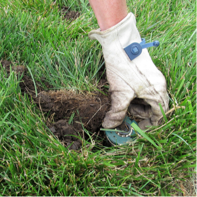 Part of your spring sprinkler system start up is checking the lines and sprinkler heads for any danger from our Massachusetts winter.