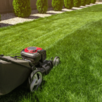 Lawn Care Tools and Equipment